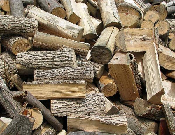 ضبط مركبة محملة بأحطاب حرجية بلواء الكورة