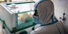 أربع إصابات جديدة بفيروس إيبولا في أوغندا
