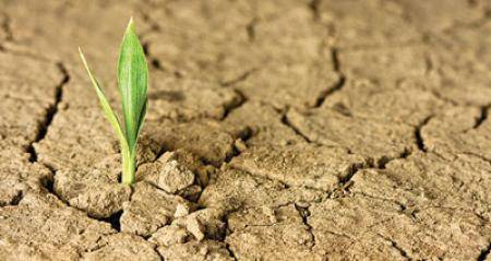 الوطني للعدالة البيئية يطالب بتطوير معايير اعلان حالة الجفاف في الأردن