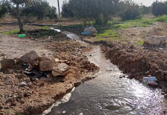 المفرق .. سكان الدندنية يشكون نقص المياه
