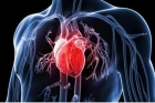 ما هي أعراض أمراض القلب