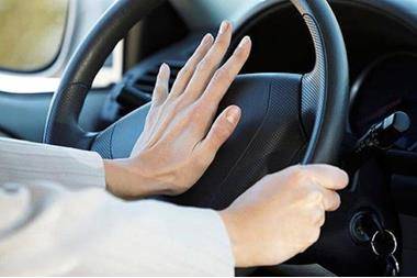 الدوريات الخارجية: ضبط مركبة تحمل زامور خطر