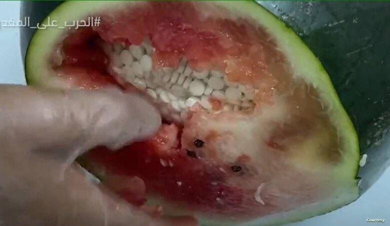 السعودية تضبط شحنة مخدرات في البطيخ