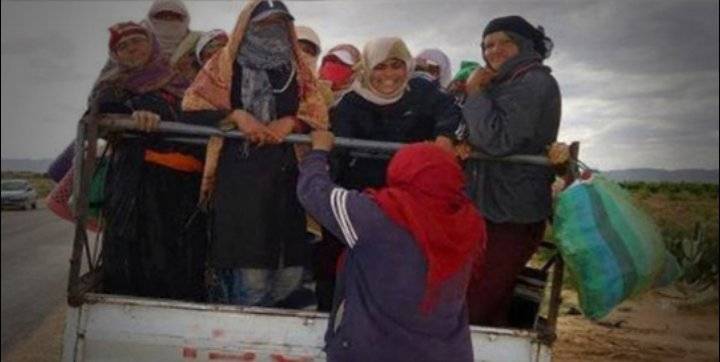 تونس: 50 وفاة و 710 إصابة في حوادث الشاحنات المقلة للعاملات