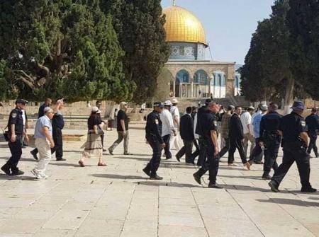 عشرات المستوطنين يقتحمون الأقصى