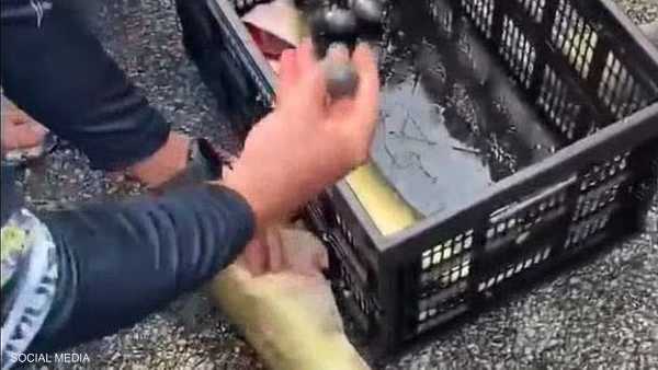 احتيال جهنمي في مسابقة صيد سمك