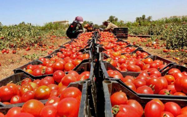 الزراعة توقّع اتفاقية لإنشاء 3 مصانع في الأغوار بكلفة مليوني دينار