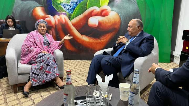 نشاط مكثف لوزير الخارجية المصري خلال الاجتماع الوزاري التحضيري لمؤتمر COP27 بكينشاسا