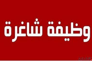 وظائف شاغرة في بلدية العامرية  شروط التقديم