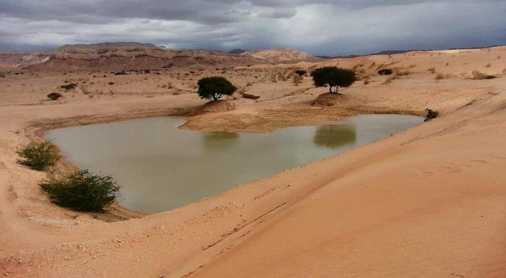عطاء لإقامة 63 حفيرة وسدا و5 آلاف بئر تجميعي