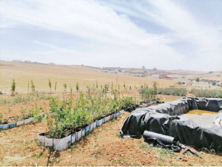 بارتفاع 200.. ضبط 302 تعد على خطوط المياه بالبلقاء العام الحالي