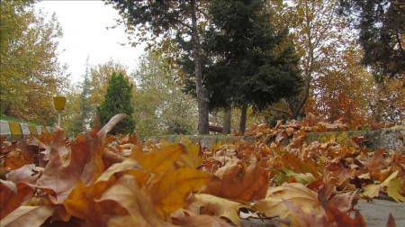 أجواء خريفية معتدلة وانخفاض الحرارة نهاية الأسبوع