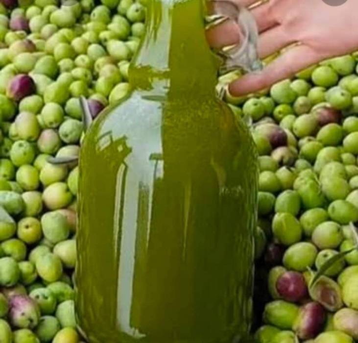 تثبيت أسعار عصر الزيتون بالاردن