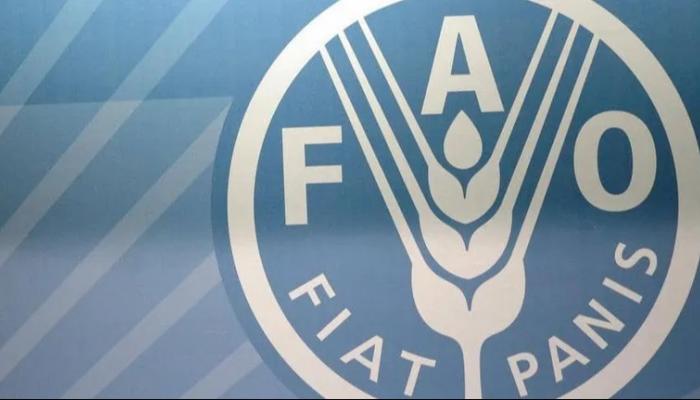 فاو تزف بشرى للعالم.. أسعار الغذاء تتراجع