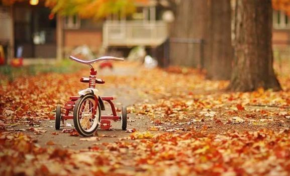 الأردن.. طقس خريفي الأحد