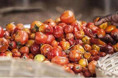 وزير الزراعة: 34 من الغذاء في الأردن يتم هدره