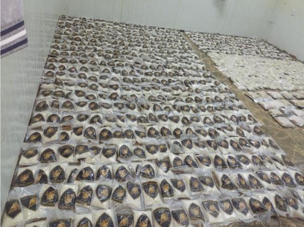 إحباط محاولة تسلل وتهريب مخدرات على إحدى الواجهات الشمالية