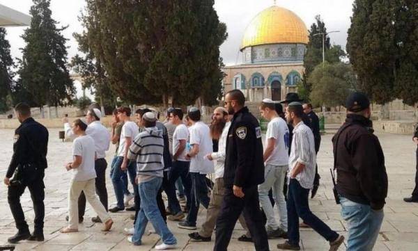 أعداد كبيرة من المستوطنين تقتحم الأقصى