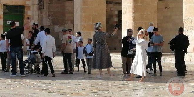 669 مستوطناً يقتحمون الأقصى