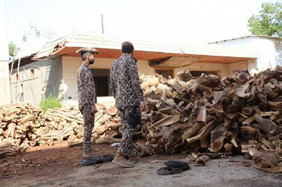 13 متاجرا في الفحم بقبضة الأمن في السعودية