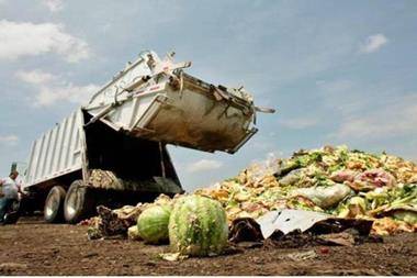 وزير الزراعة: توقفوا عن هدر الطعام فهناك جياع