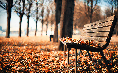 درجات الحرارة حول معدلاتها الاعتيادية اليوم