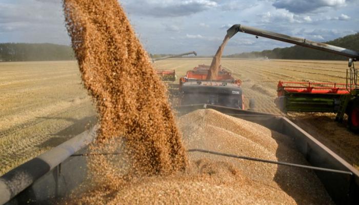 قرار روسي يسعد مستوردي القمح في العالم.. ما هو؟