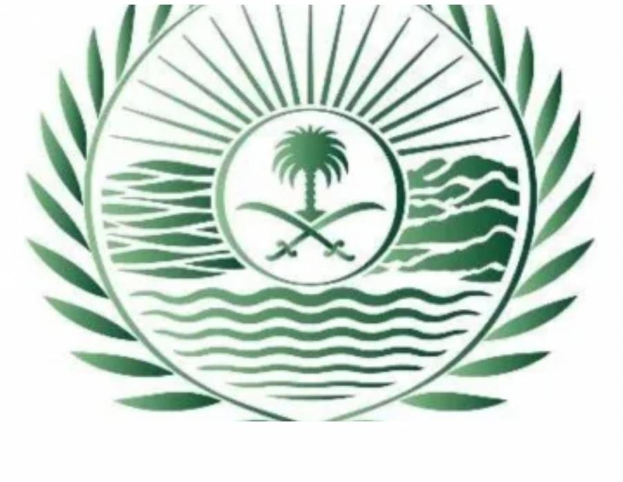 السعودية ..ضبط مقيم ومخالف لقطعهما أشجارًا وتفحيمها بجدة