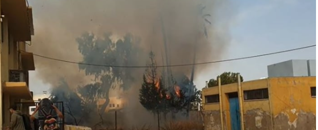 اندلاع حريق بحديقة أشجار مدرسة في إربد