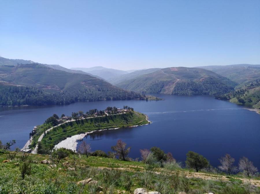 سلطة وادي الاردن تدعو للاستفادة من مبادراتها الاستثمارية في تطوير الاراضي المجاورة للسدود