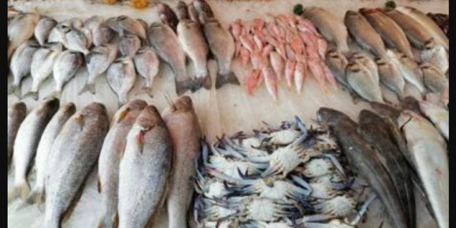 أسعار اللحوم والأسماك والخضروات ليوم الأربعاء في قطاع غزة