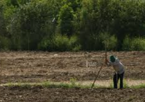 سلطة وادي الأردن توقع عددا من الاتفاقيات لتأجير الأراضي