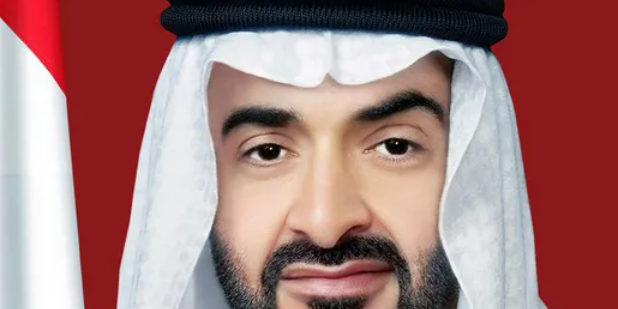 محمد بن زايد ومستشار النمسا يبحثان العلاقات الثنائية