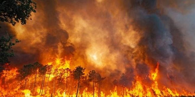 اندلاع عشرات الحرائق في إسبانيا جراء ارتفاع درجات الحرارة