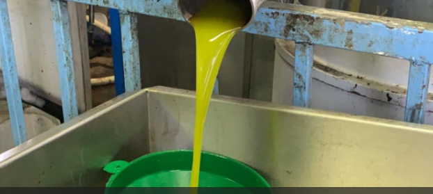 اتفاقية لتقسيط الزيت لموظفي القطاع العام بأسعار تفضيلية