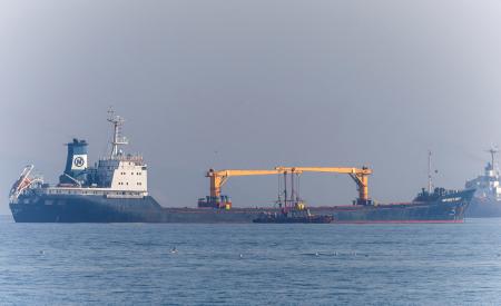 سفن محملة بالحبوب تبحر من أوكرانيا