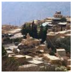 وضع أكبر منحوتة خشبية على مدخل قرية ضانا