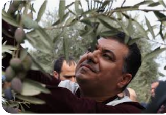 انطلاق فعاليات اليوم الوطني لقطاف ثمار الزيتون في السلط