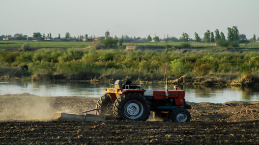 دراسة: قطاع الزراعة العربي لم يحقق زيادة الإنتاج المستهدفة لمقابلة الطلب على الأغذية