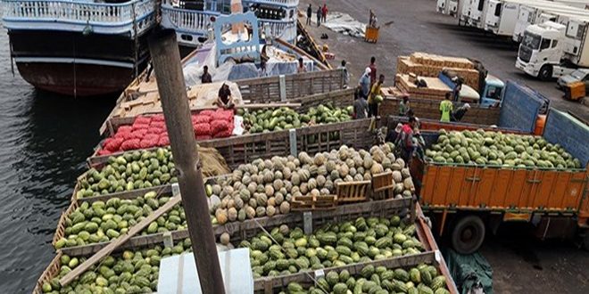 غرق سفينة إيرانية محملة بالفواكه والخضراوات قرب الشارقة