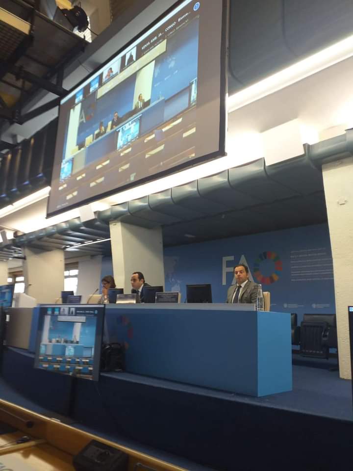 السفارة المصرية في روما تنظم جلسة إحاطة مشتركة مع الفاو حول مؤتمر المناخ  COP27