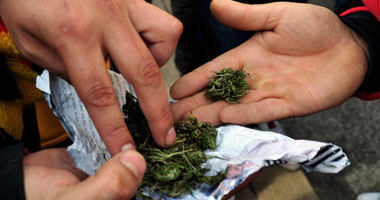 الامن: انخفاض نسبة متعاطي المخدرات 9