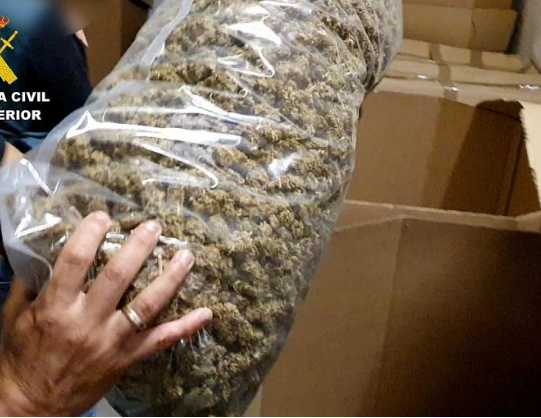 إسبانيا تضبط أكبر كمية ماريجوانا على مستوى العالم