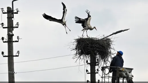 زيلينسكي يندد بـإرهاب الطاقة.. وتحذير أوكراني من وضع خطير