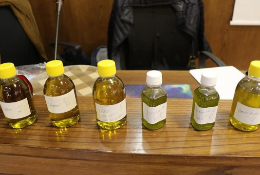 دورة حكومية لتحسين جودة الزيت بالأردن