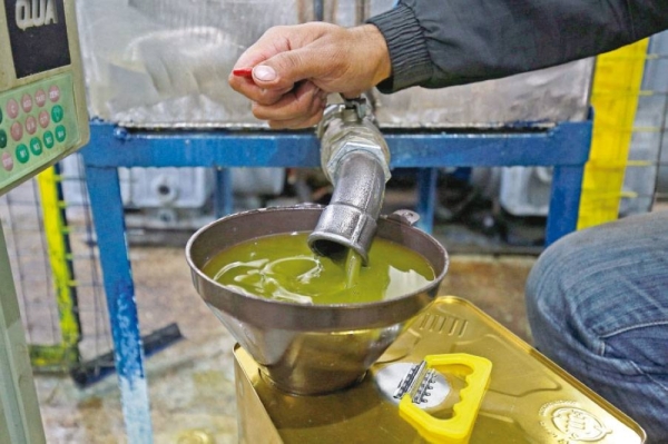 إطلاق مشروع تطوير سلاسل القيمة لزيت الزيتون الأردني