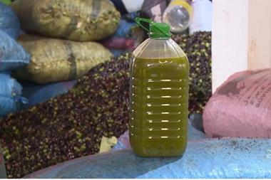 إطلاق مرحلة جديدة من مشروع سلاسل القيمة لزيت الزيتون