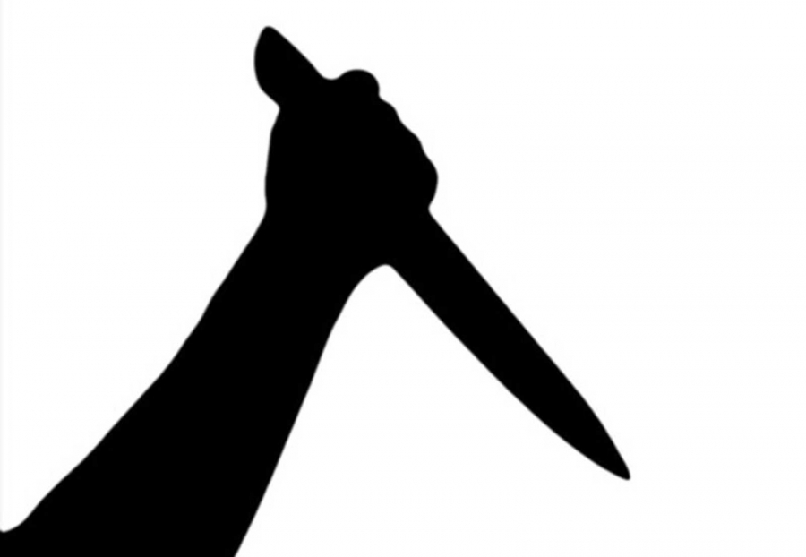 مقتل امرأة حامل طعناً في الدنمارك ونجاة طفلها