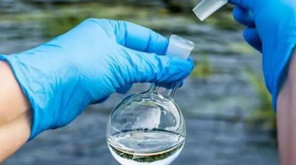 اصابة شخص بجرثومة الإي كولاي في السلط والاشتباه بحالتين من نفس المنزل