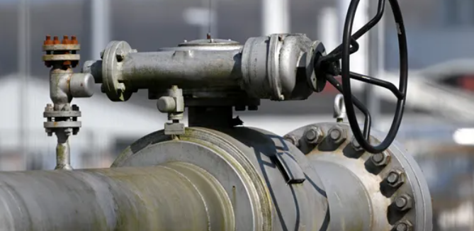 وزير الطاقة التركي: بدأنا شراء الغاز من روسيا بالروبل